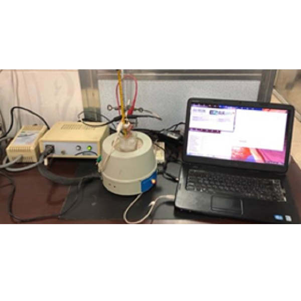Electrochemical Analysis of CuO NPs in Artificial Saliva at Different Concentrations, pH, and Scan Rates Using Cyclic Voltammetry